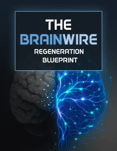 Audifort Bonus 2 - Brain Health Blueprint